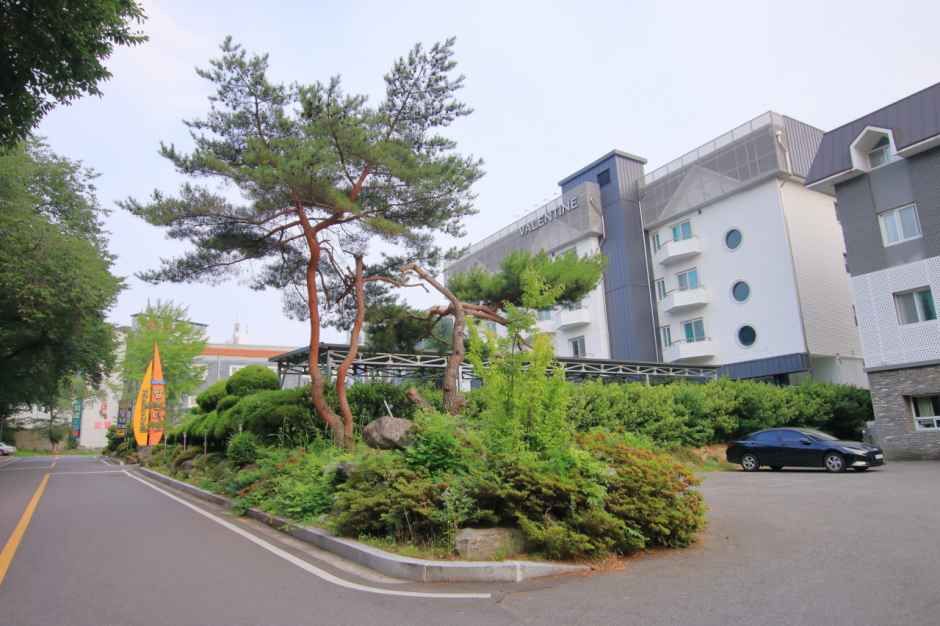발렌타인 - 경상북도 경주시 보문로 465-28 (신평동) 관광 명소