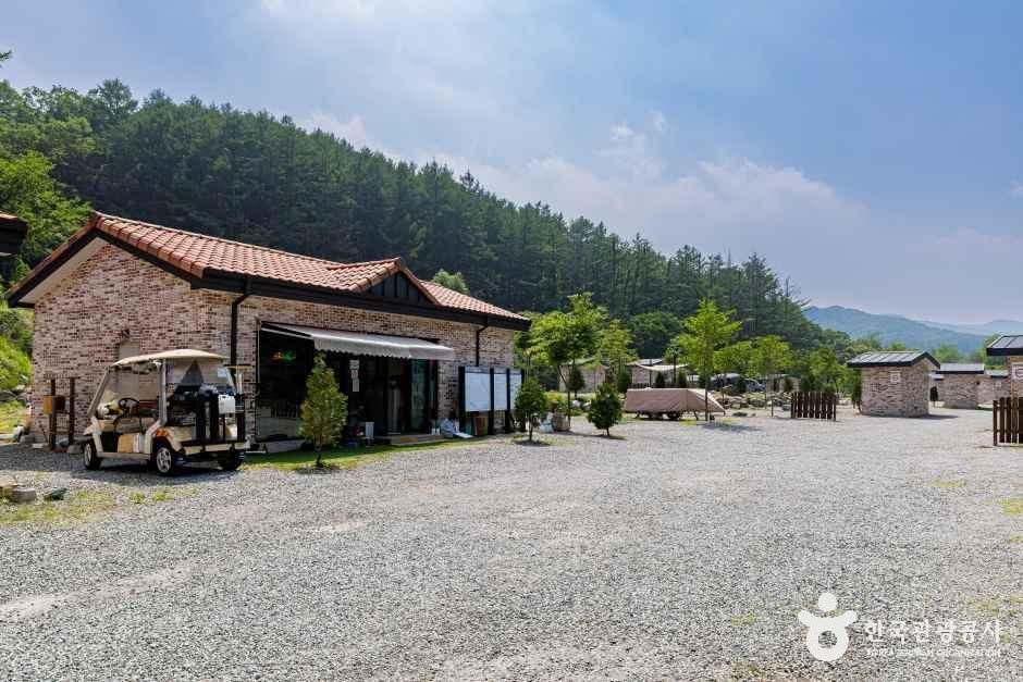 스타밸리캠핑장