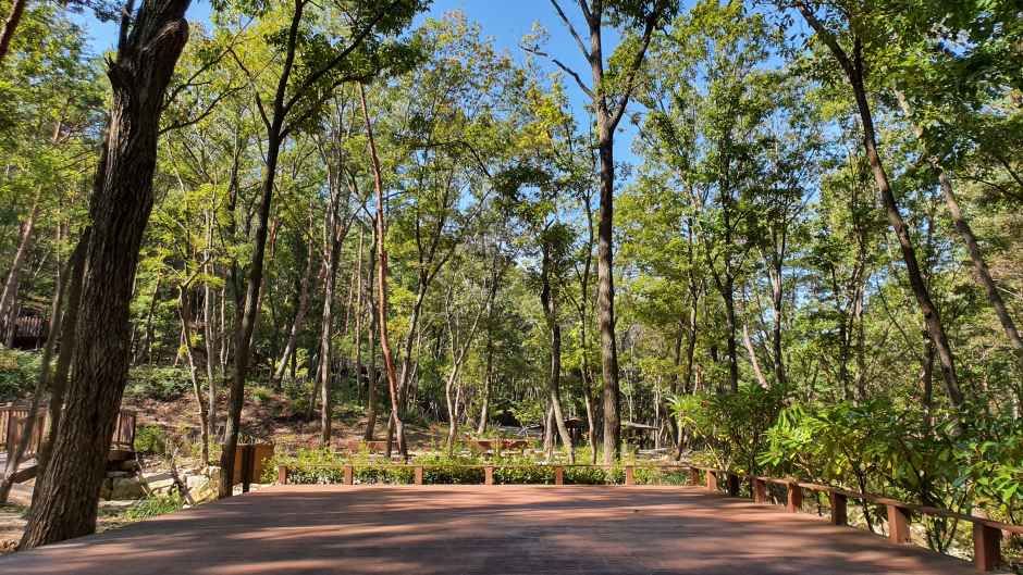 부산 치유의 숲