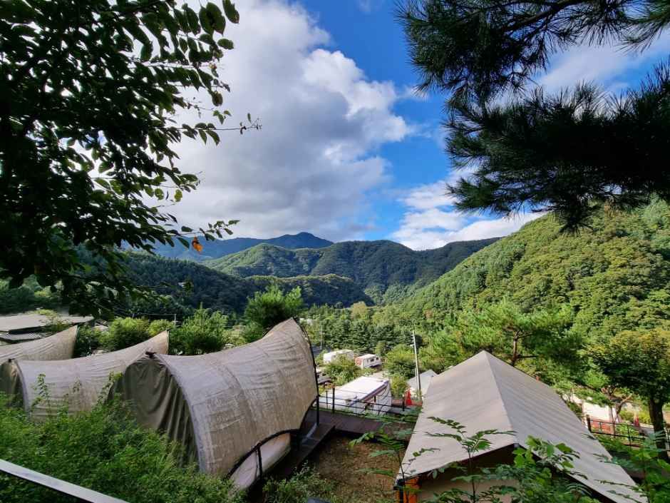 가평명지산카라반글램핑