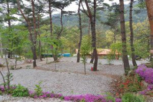 아리솔캠핑장