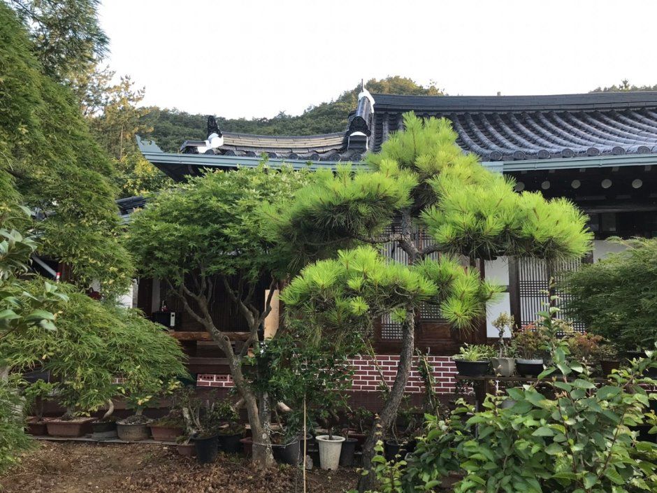 거목장민박