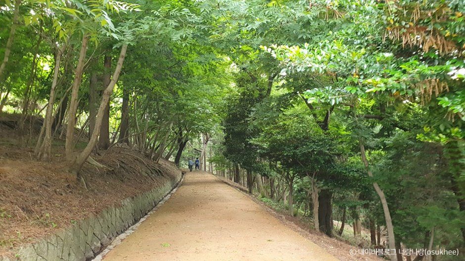 거제 저도