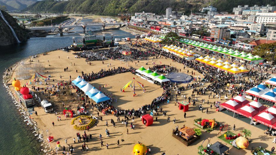 청송사과축제 현장 5