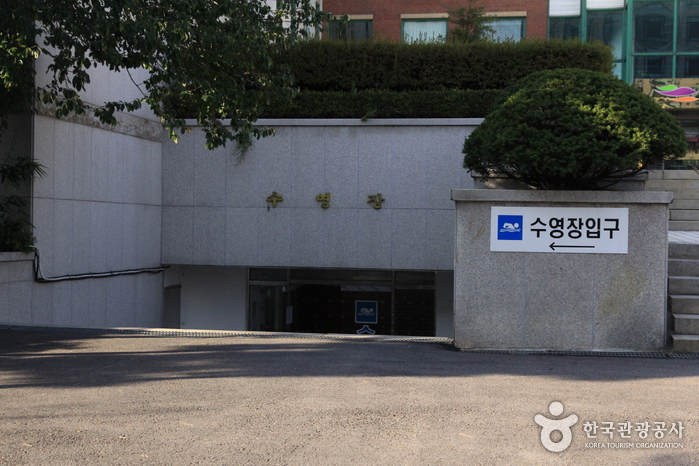 여성문화회관 수영장(실내)