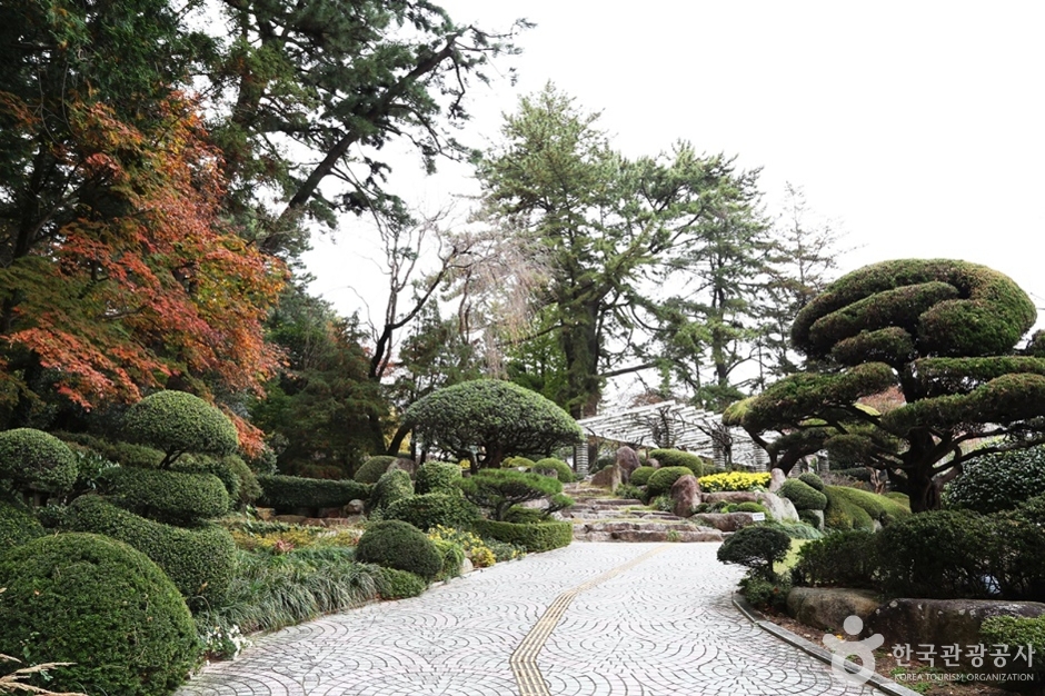 金刚植物园