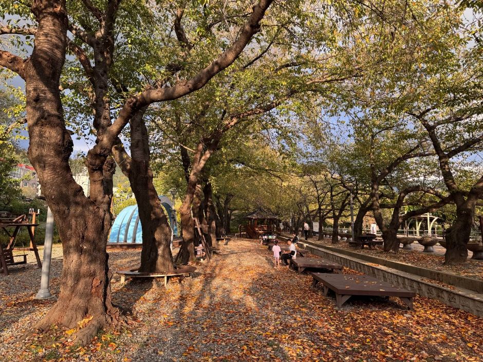 Gyeonghwa Station Park