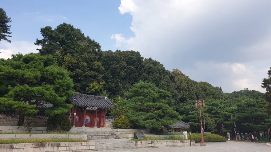 [京畿古道 嶺南道 第2道] 落生駅の道
