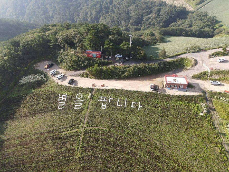 江陵安班德基观光农园