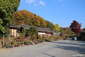 충주 최응성 고가