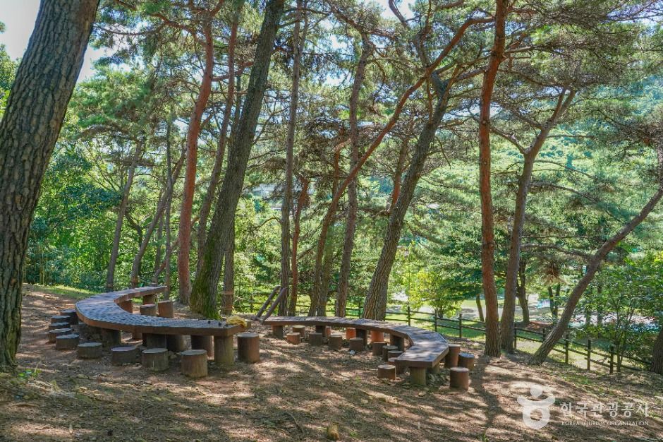锦屏公园
