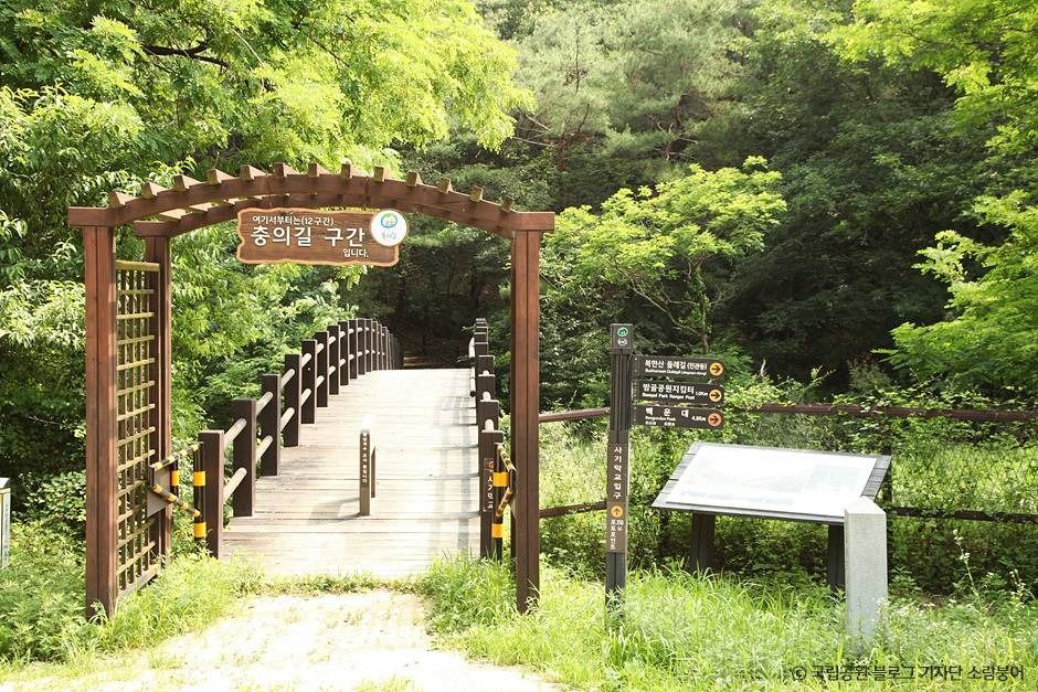 [北漢山 ドゥルレ道 12区間] 忠義の道