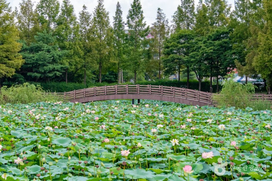 鳳潭湖水公園
