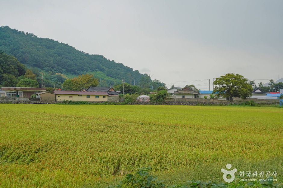 Daecho Village