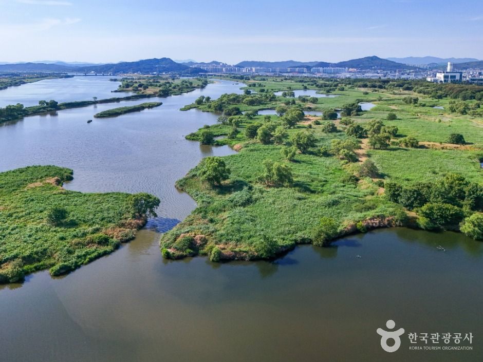 大邱 達成湿地