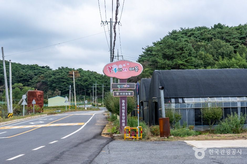 서산 꽃송아리마을