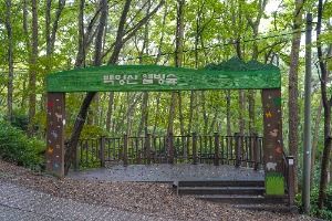 3575804 image3 1 예스키즈존 탐험대 : 실패 없는 육아여행