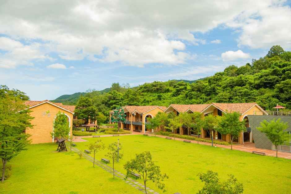 동해무릉건강숲