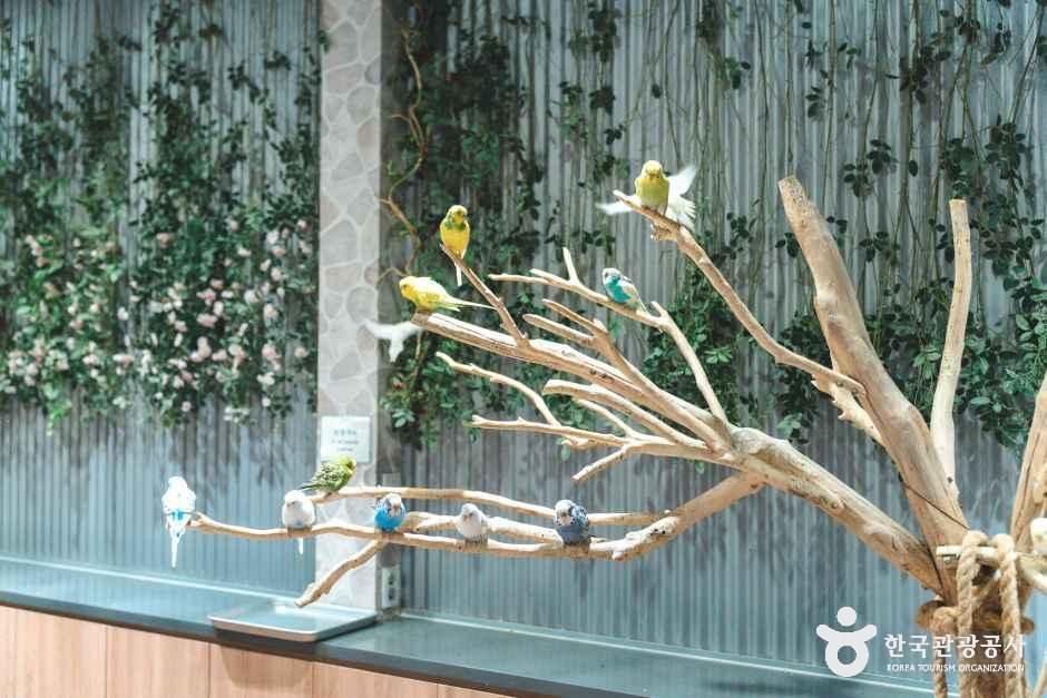 블랙스톤 벨포레 목장