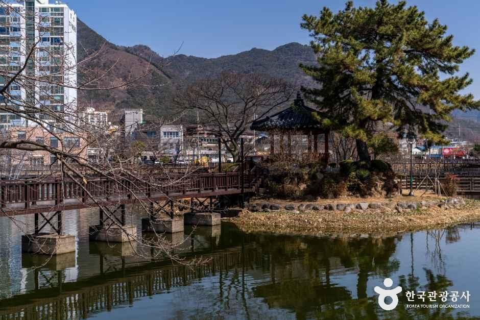 蓮池