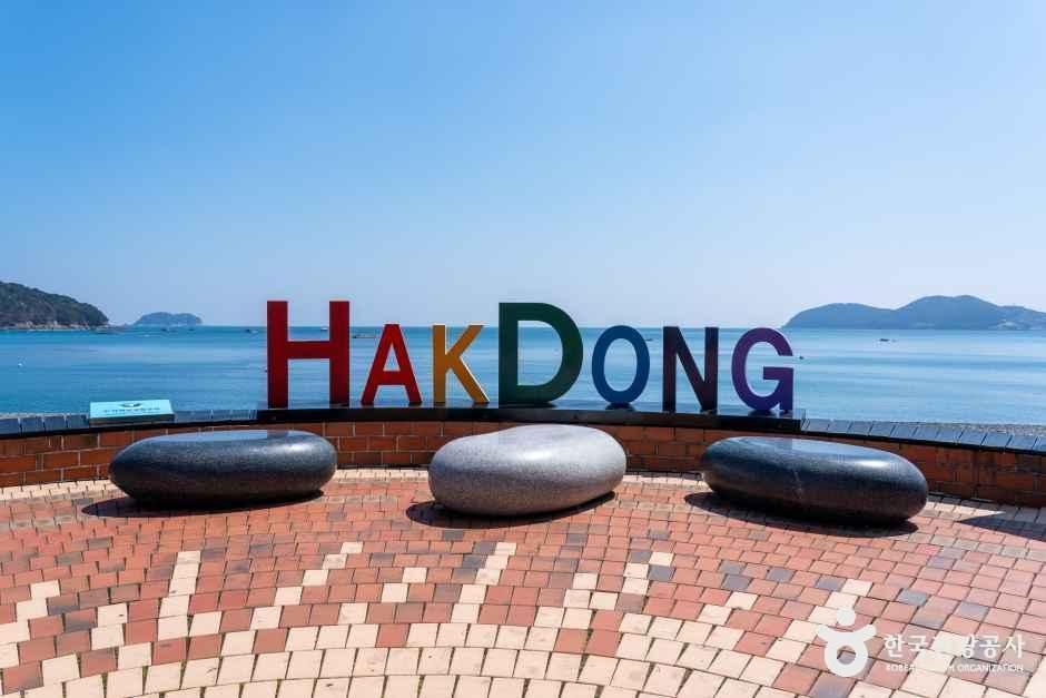 학동 흑진주 몽돌해변