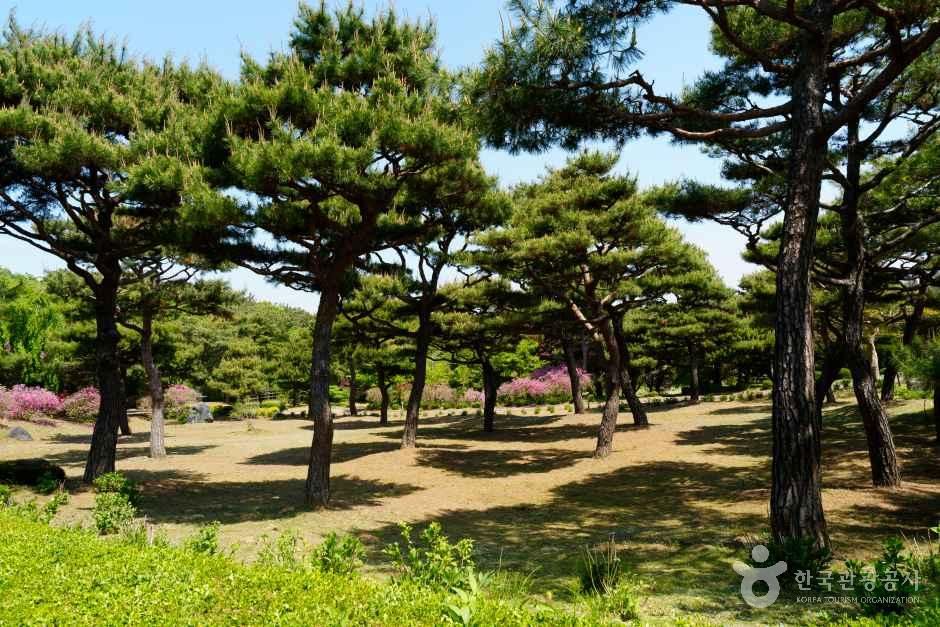 그림같은 수목원(그림이 있는 정원)