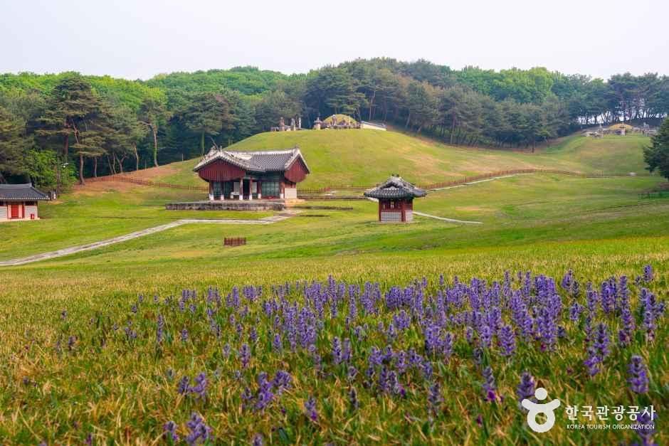 구리 동구릉 [유네스코 세계유산]