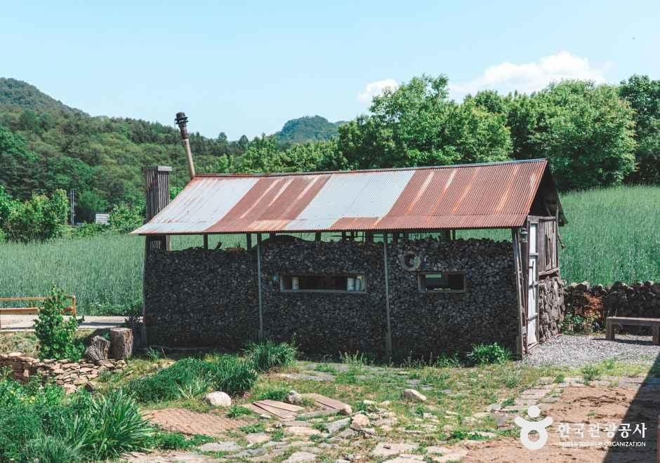 이가본때