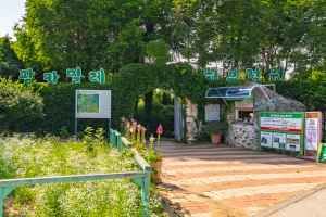 팜카밀레