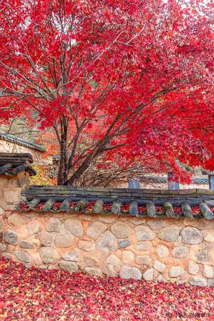 곡성_곡성향교 (10).jpg