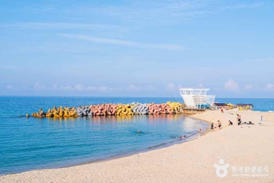 사근진해변(사근진해수욕장) 사진 2