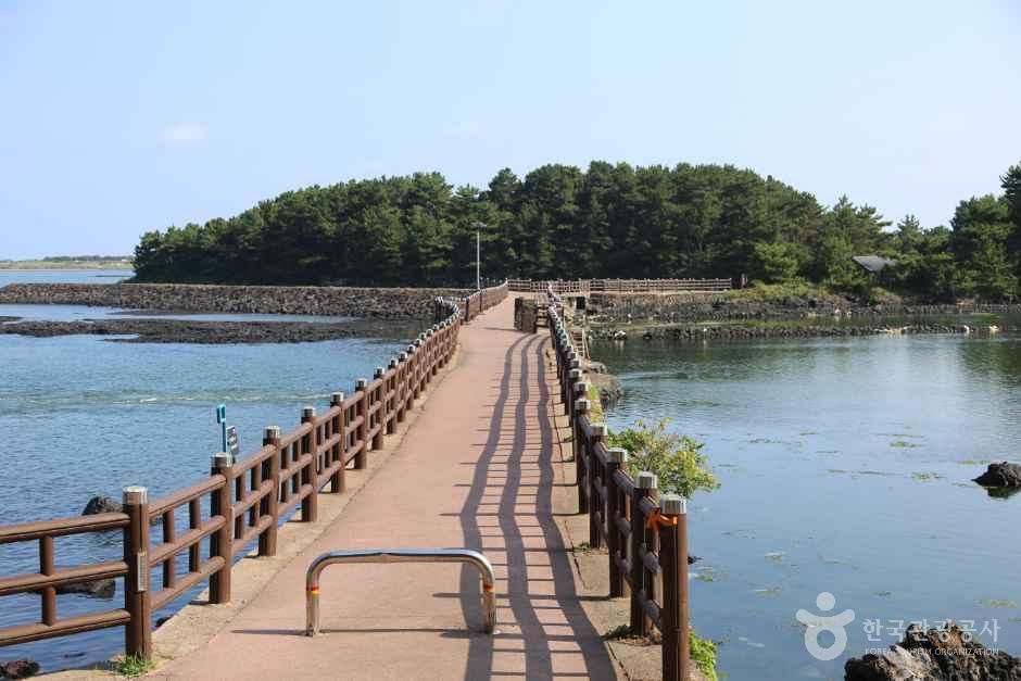 오조포구