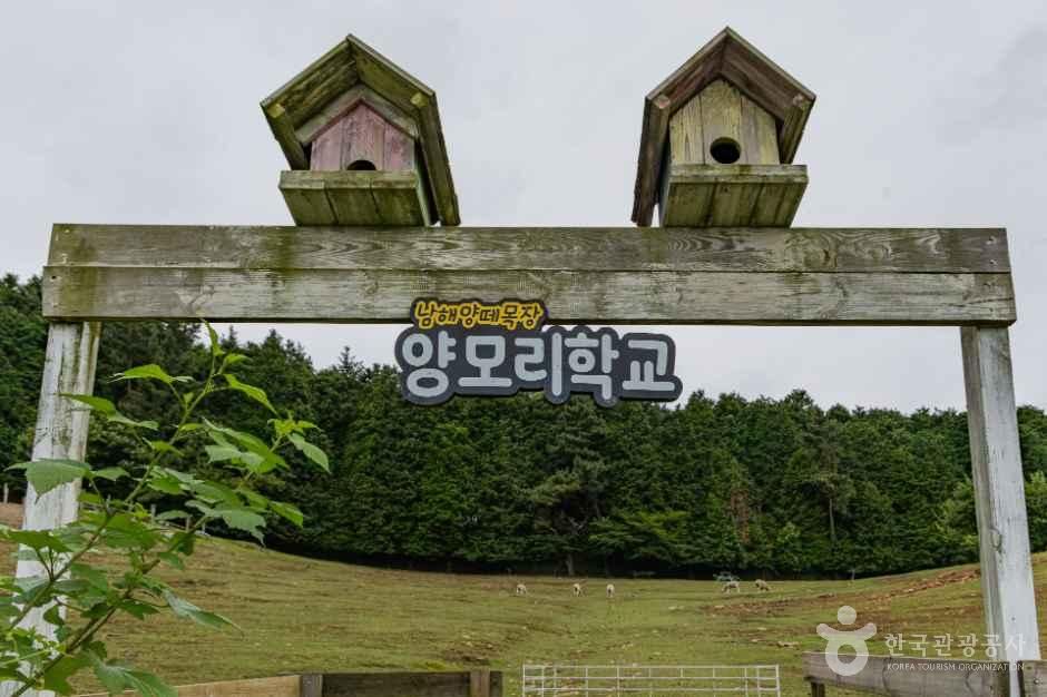 남해 양모리학교