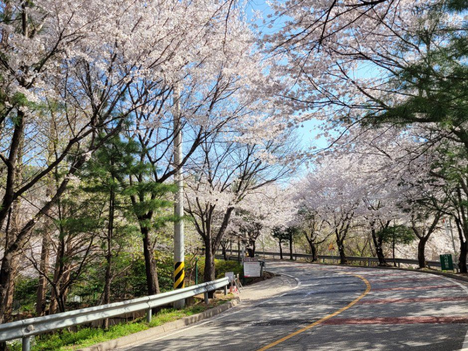 파주 기산캠프