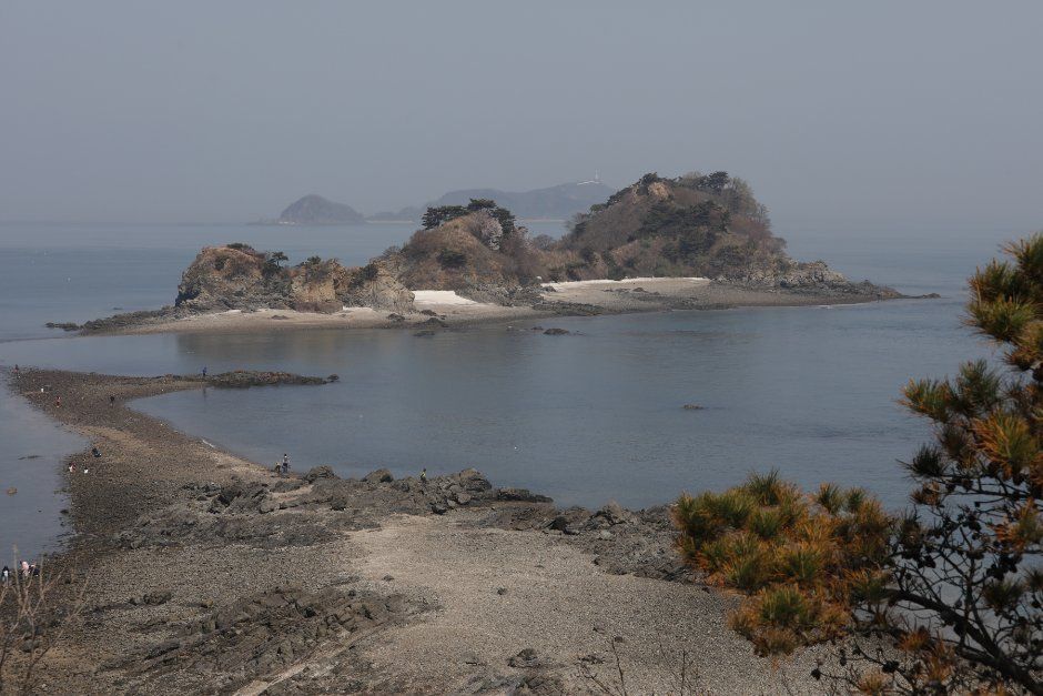 국화도