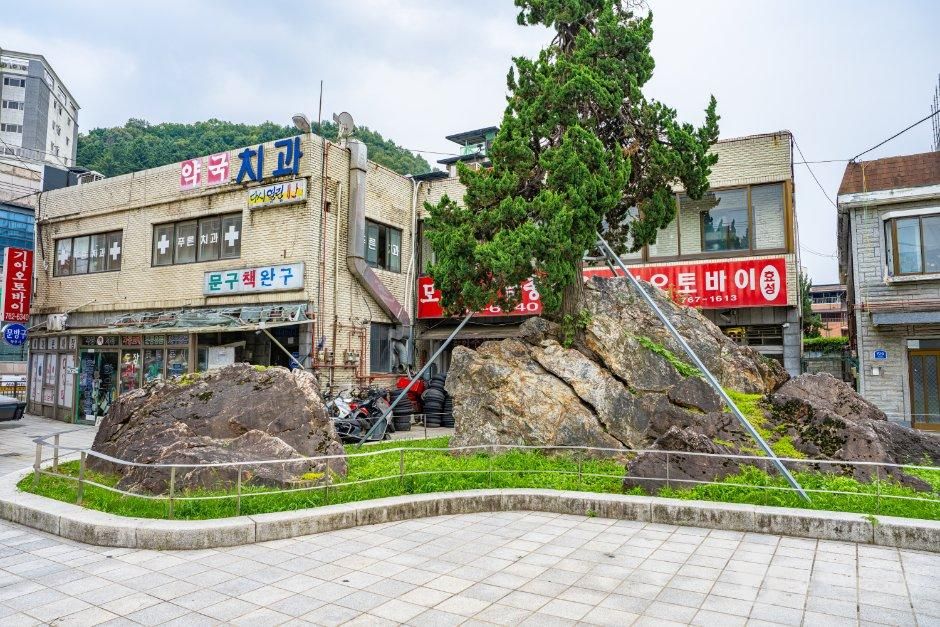 곤지바위