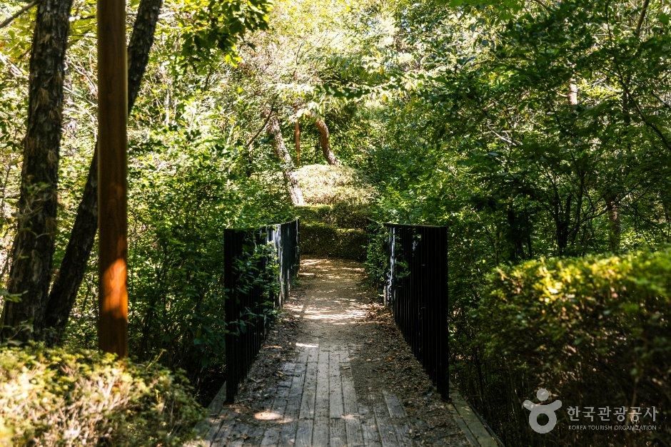 삼성산산림욕장