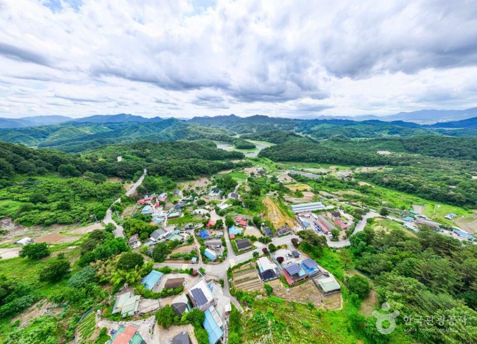 月光村