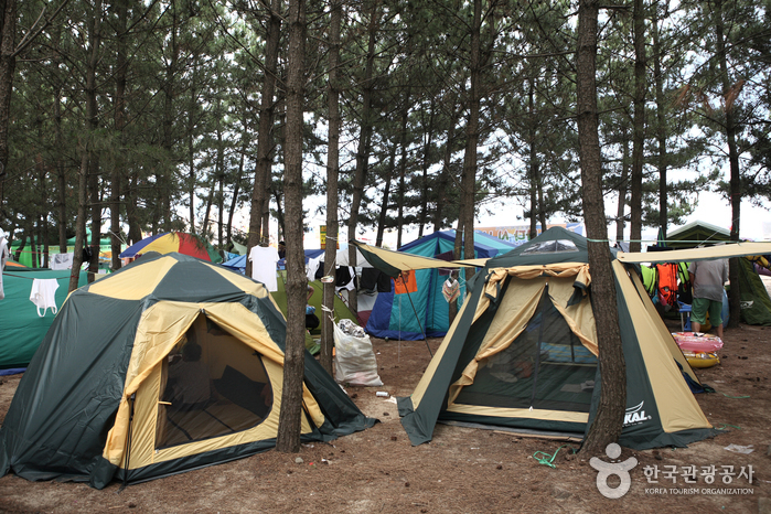 고래불해수욕장 고래불해수욕장