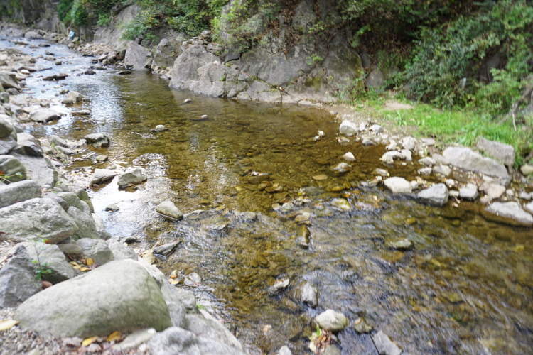 Jangsuchon