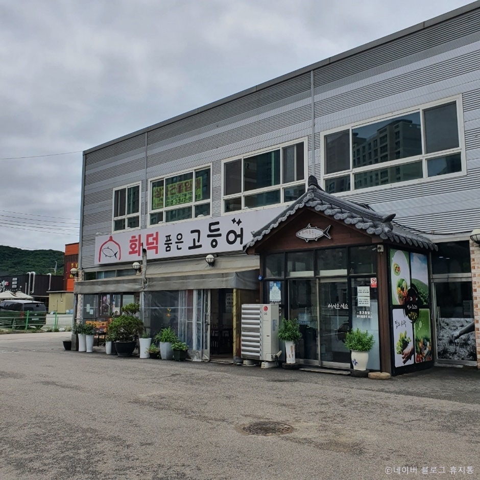 화덕품은 고등어