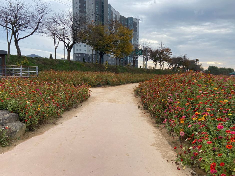 Hwangnyonggang Ecological Park