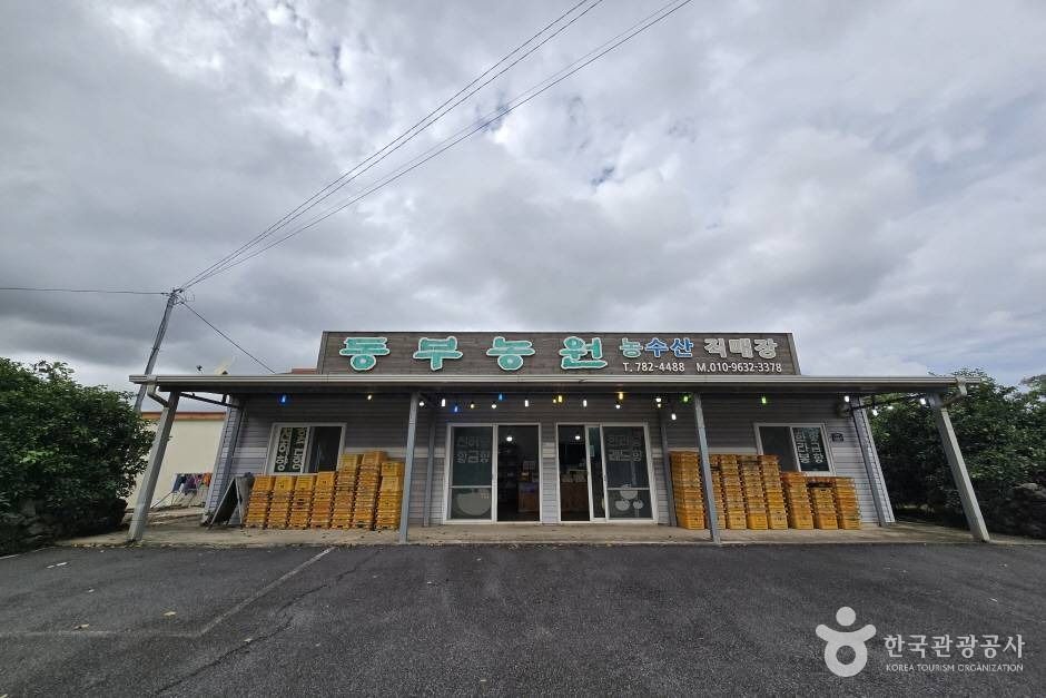 东部农园
