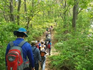 [경기옛길 영남길 제3길] 구성현길