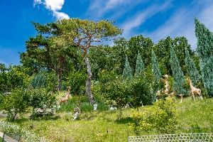 도토리숲키즈파크