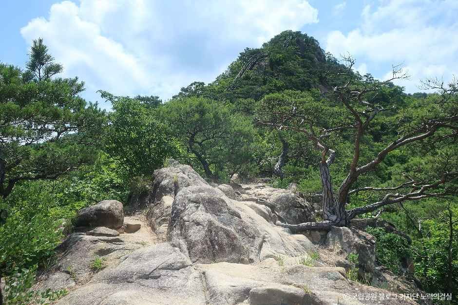 단양_제비봉 (5).jpg