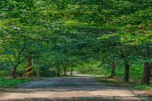 전천·전천생활체육공원