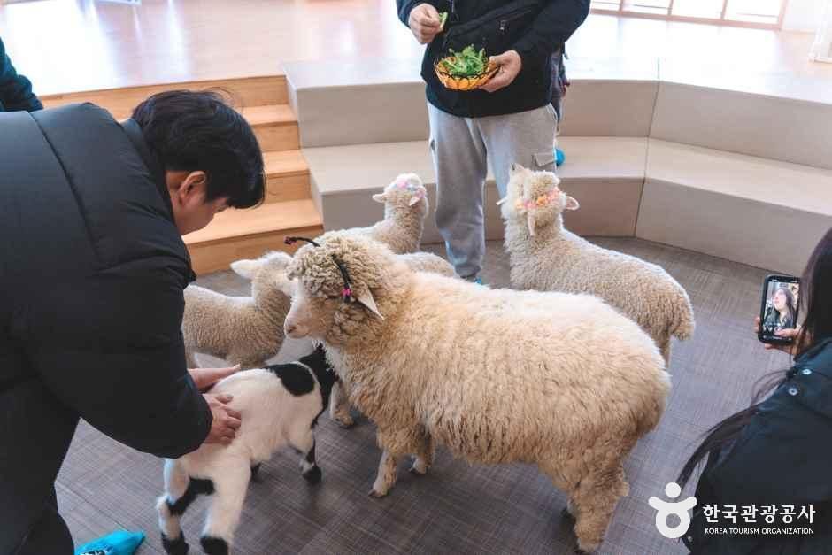 블랙스톤 벨포레 목장