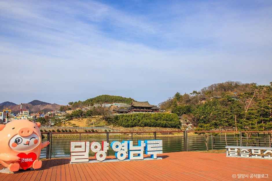 [밀양아리랑길 1코스] 영남루 수변공원길