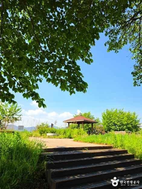 수도산도시숲